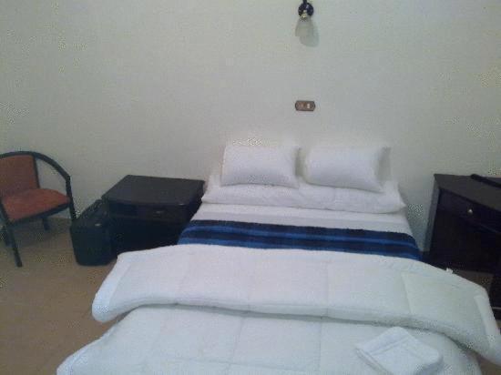 Transit Alexandria Hostel Bagian luar foto